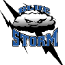 bluestormlogo